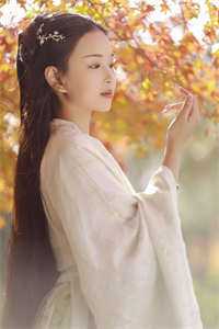 青云美人图