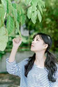 《精品选集甜蜜军婚：女企业家在八零赚翻了》厉擎烈阮紫茉完整版阅读_精品选集甜蜜军婚：女企业家在八零赚翻了全文在线阅读