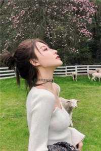 付睿云鲤(一夜暴富！救人后我成了人间锦鲤)_付睿云鲤全集在线阅读