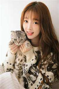 猛犬星球优质贝尔贝尔