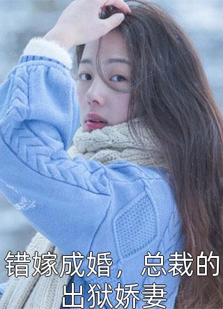张瀚王彪《大明1617最新章节》_大明1617最新章节全章节阅读