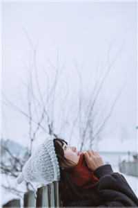 季风顾雪婷《重生就别当舔狗了》完整版在线阅读_季风顾雪婷全本在线阅读