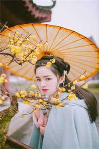 寒门书生,开局收获美娇妻