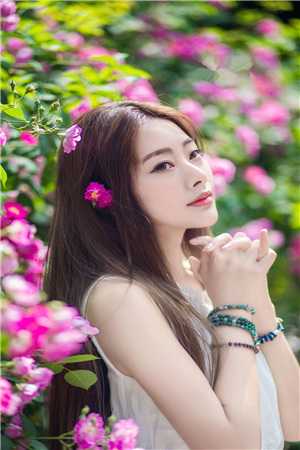 何书蔓江迟聿的小说