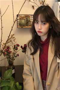 沈铮罗依(权倾朝野：大都督独宠罪臣之女)全文免费在线阅读_权倾朝野：大都督独宠罪臣之女全集在线阅读