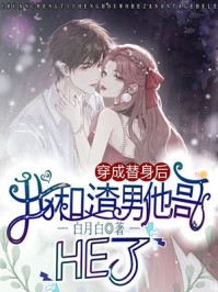 苏昭昭顾衡的小说叫什么