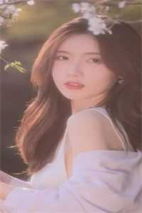 贺微宁陆知钏(疯批女配穿越后，捂紧的小马甲被男主们曝光了)全本阅读_贺微宁陆知钏全章节免费在线阅读
