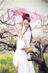 宫斗重生：妹妹嫁给了穷书生