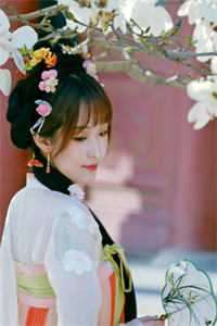 《假婚成真：首辅大人的套路》陆清婉温陌寒_《假婚成真：首辅大人的套路》全文免费阅读