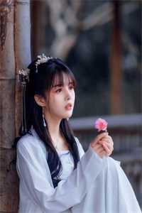 小说秦凡王诗允