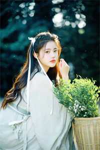 薄宴淮安凝《薄总还虐吗？夫人她不会回头了》_《薄总还虐吗？夫人她不会回头了》精彩小说