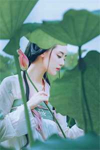 顾清渲顾清雨《他们找到我的时候，我已功成名就》_他们找到我的时候，我已功成名就全章节免费阅读