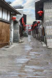 替身贵妃将我扒光沉塘，暴君杀红了眼(陆知白阿宁)_(替身贵妃将我扒光沉塘，暴君杀红了眼)完整版免费阅读
