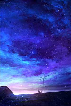 她似月光归来