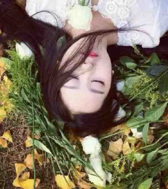 不当舔狗后，冷面军官他慌了陆思年张瑶瑶完整版免费阅读_陆思年张瑶瑶完结版免费在线阅读