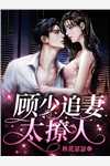 陆总，你老婆带着孩子跑了(秦思雅林墨白)是什么