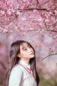 三人行的爱情终究太拥挤(席晶姜段吉)完整版