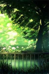 柚清无情(沈兴慕沈柚清)小说