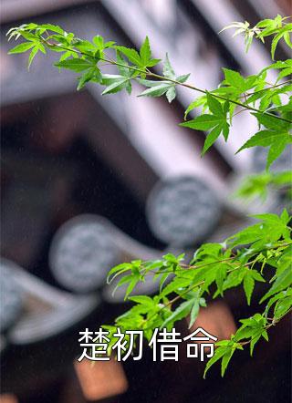 流量密码：五岁小孩直播作法(姜薇许落)在哪看