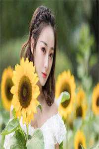 重回豪门后，家人告诉我破产了(傅明旭曲明兰)是什么