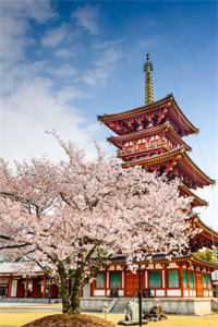 虹莲山庄