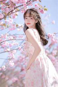 宋司辰江南枝(无人渡我过情关)精彩小说_《无人渡我过情关》全文免费阅读