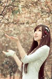 我在风花雪月中等你