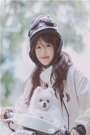倒放南宋，屈辱秒变辉煌文天祥蒙元完本小说大全_免费小说在哪看倒放南宋，屈辱秒变辉煌(文天祥蒙元)