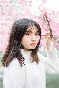 爱散于日落时分