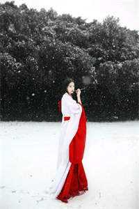 此去两相望秦婉之沈喻礼全本免费完结小说_免费小说免费阅读此去两相望秦婉之沈喻礼