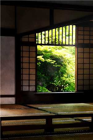 繁花已落梦终散