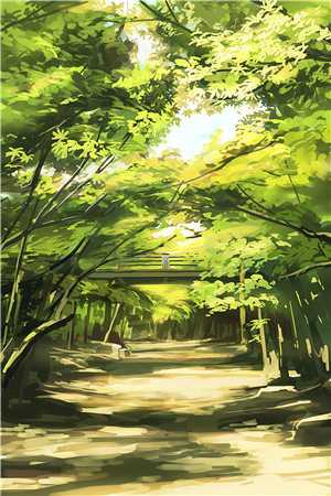 爱若纷飞去，不曾雪满头(林锦绣秦可心)完本小说大全_小说推荐完结爱若纷飞去，不曾雪满头林锦绣秦可心