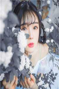西风残照镜花月