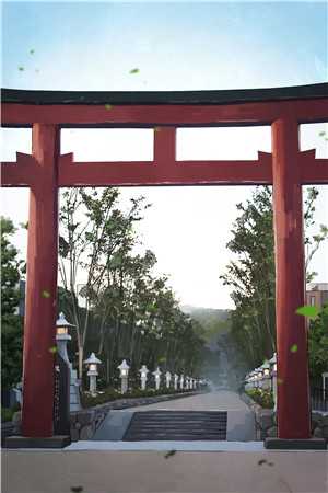 从此鲜花赠自己，纵马踏花向自由(青梅莫成轩)最新完本小说_小说推荐完本从此鲜花赠自己，纵马踏花向自由(青梅莫成轩)