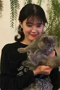替身退场，总裁却不乐意了(霍裴衍苏语倾)全本免费在线阅读_替身退场，总裁却不乐意了最新章节在线阅读_替身退场，总裁却不乐意了最新章节阅读