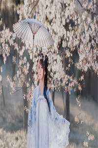 女儿高中状元，我背上七条人命宋芳张明完结小说推荐_热门完本小说女儿高中状元，我背上七条人命(宋芳张明)