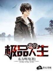 《我的极品人生》小说免费阅读
