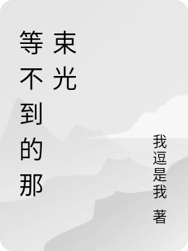 隐婚后，沈先生一心求名分林秋意沈黎风小说免费阅读最新章节