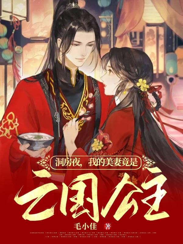 洞房夜，我的美妻竟是亡国公主最新章节更新(主角叫韩林)