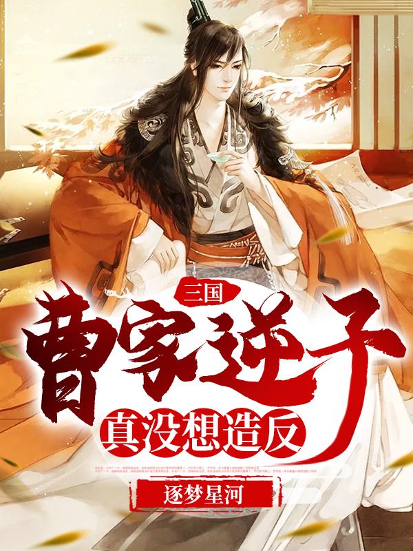 三国：曹家逆子真没想造反全文在线阅读曹远小说全本无弹窗