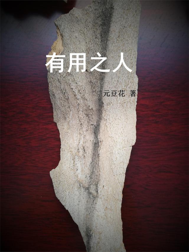 有用之人(冯用人陈小眉)小说全文免费阅读