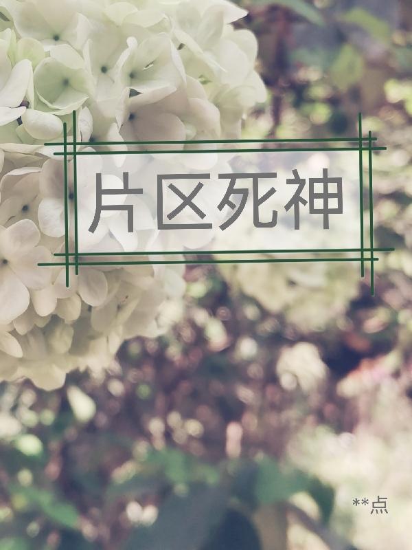 《片区死神》小说章节列表免费试读死神警官小说全文