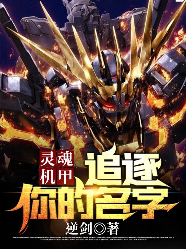 灵魂机甲：追逐你的名字李无全文免费阅读