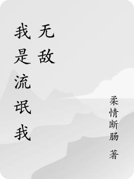 我是流氓我无敌全本免费阅读,刘建伟小说全文