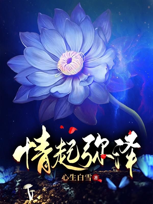 情起弥泽全文在线阅读思淇赤羽小说全本无弹窗