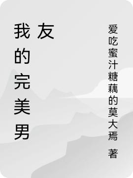 我的完美男友TNT小说全文免费阅读