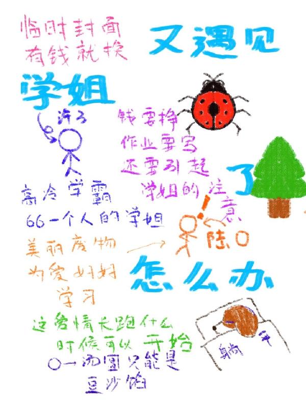 又遇见学姐了怎么办陆凌最新章节免费阅读