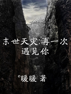 末世天灾：再一次遇见你蓝岚小说免费阅读最新章节