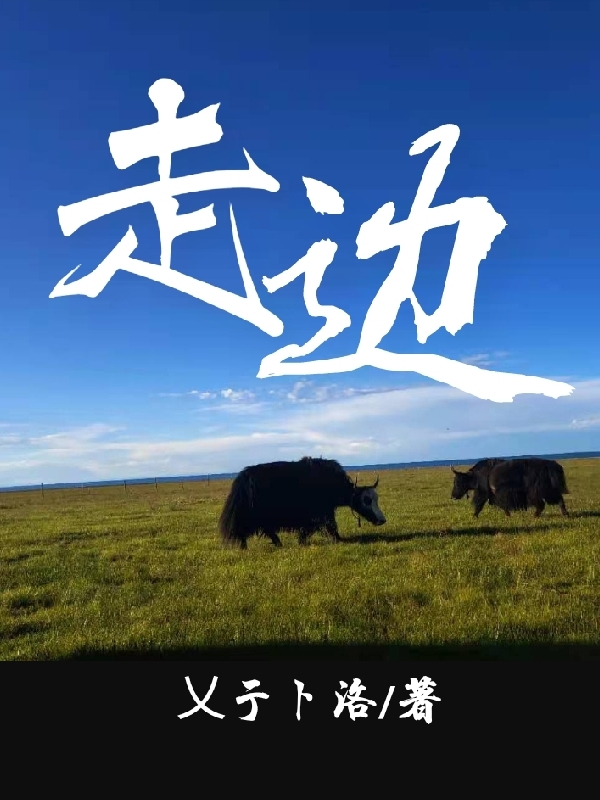 走边李头石小说免费阅读最新章节