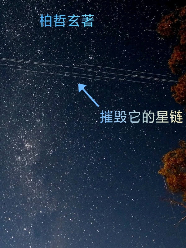 《舒澜陆谨寒小说叫什么名字》舒澜舒安雅完整版免费阅读_《舒澜陆谨寒小说叫什么名字》最新章节阅读